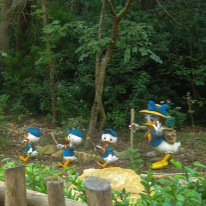 Disney's Animal Kingdom - fotos do parque Donald