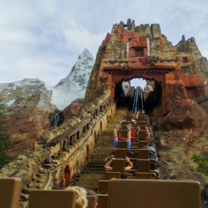 Disney's Animal Kingdom - atrações Expedition Everest - Legand of the Forbidden Mountain