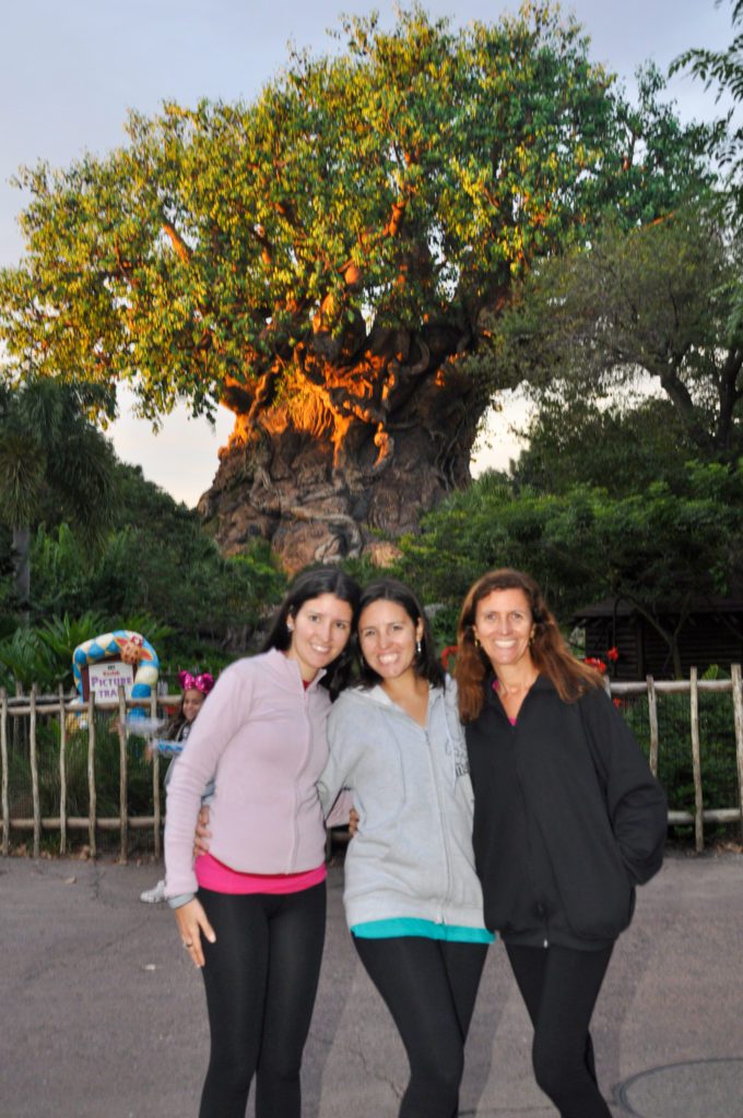 Disney's Animal Kingdom - fotos do parque: Tree of Life