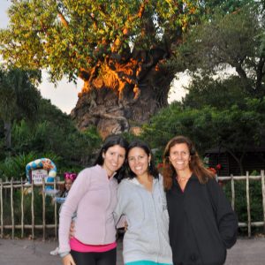 Disney's Animal Kingdom - fotos do parque: Tree of Life