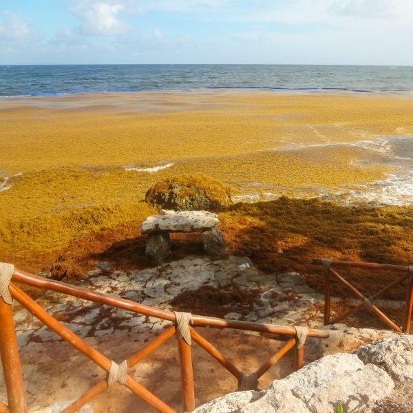 Cancun - o que fazer: Xcaret